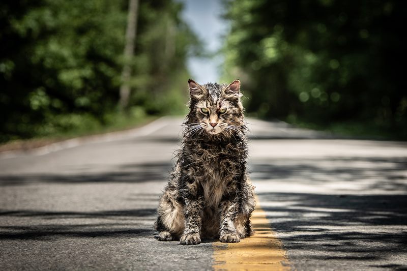 Pet Sematary Courtesy of Paramount Pictures. All Rights Reserved.