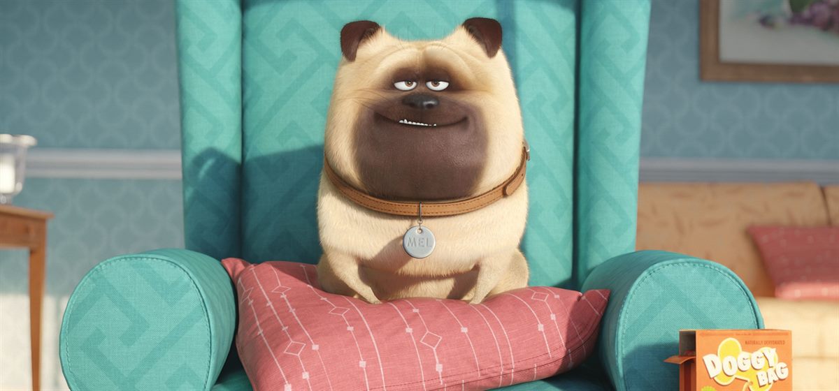 The Secret Life of Pets official still