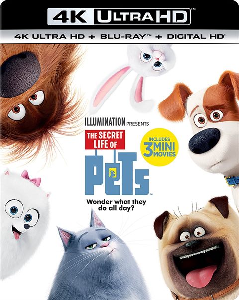 The Secret Life of Pets 4K Review