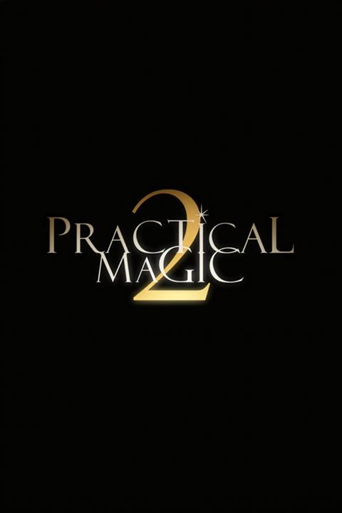 Practical Magic 2 movie poster