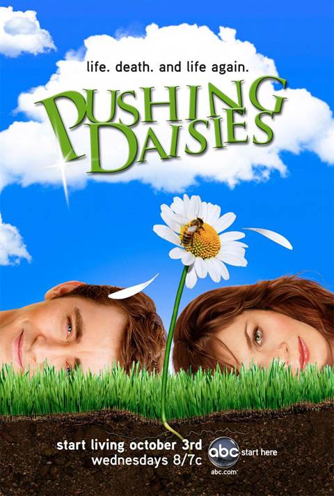 Pushing Daisies movie poster