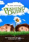 Pushing Daisies