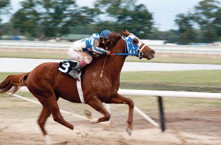 Secretariat Courtesy of Walt Disney Pictures. All Rights Reserved.