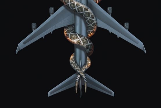 Snakes On A Plane