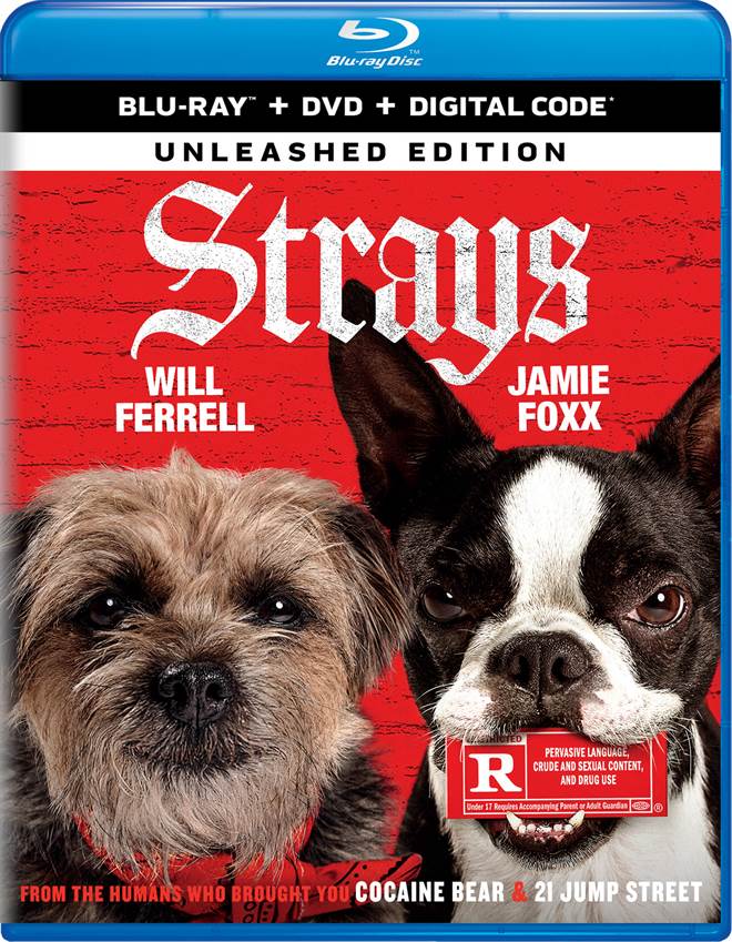 Strays (2023) Blu-ray Review