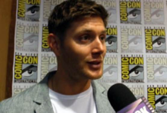Interview: Cast Interviews, Comic Con 2012 on FlickDirect