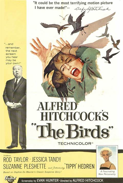 The Birds movie poster