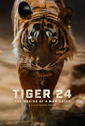 Tiger 24 Movie / Film Review