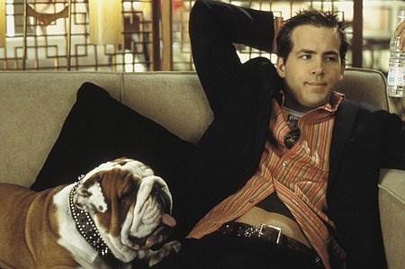 National Lampoon's Van Wilder Courtesy of Lionsgate. All Rights Reserved.