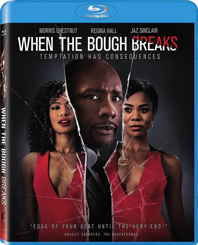 When The Bough Breaks (2016) Blu-ray Review