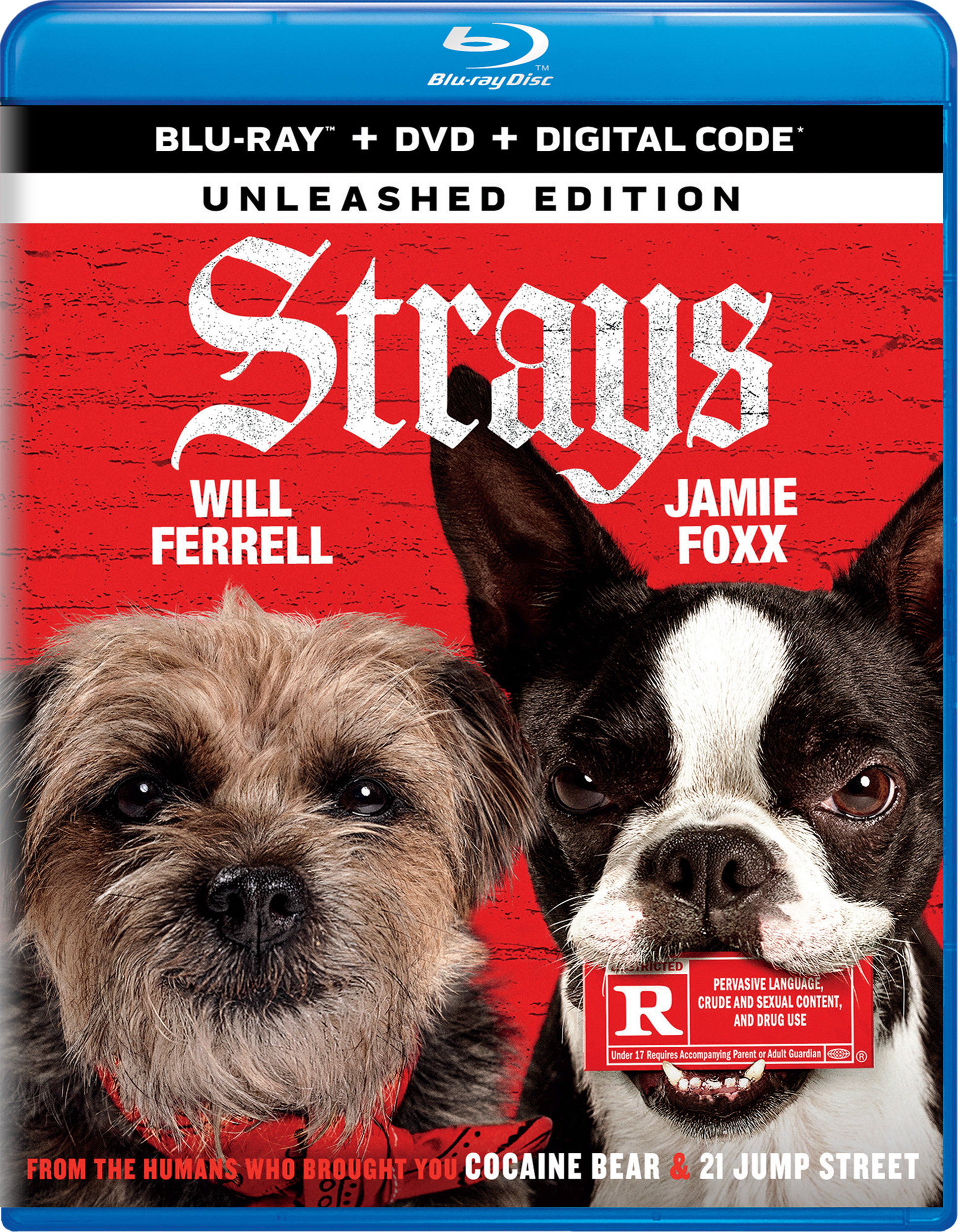 Strays (2023) Bluray Review FlickDirect