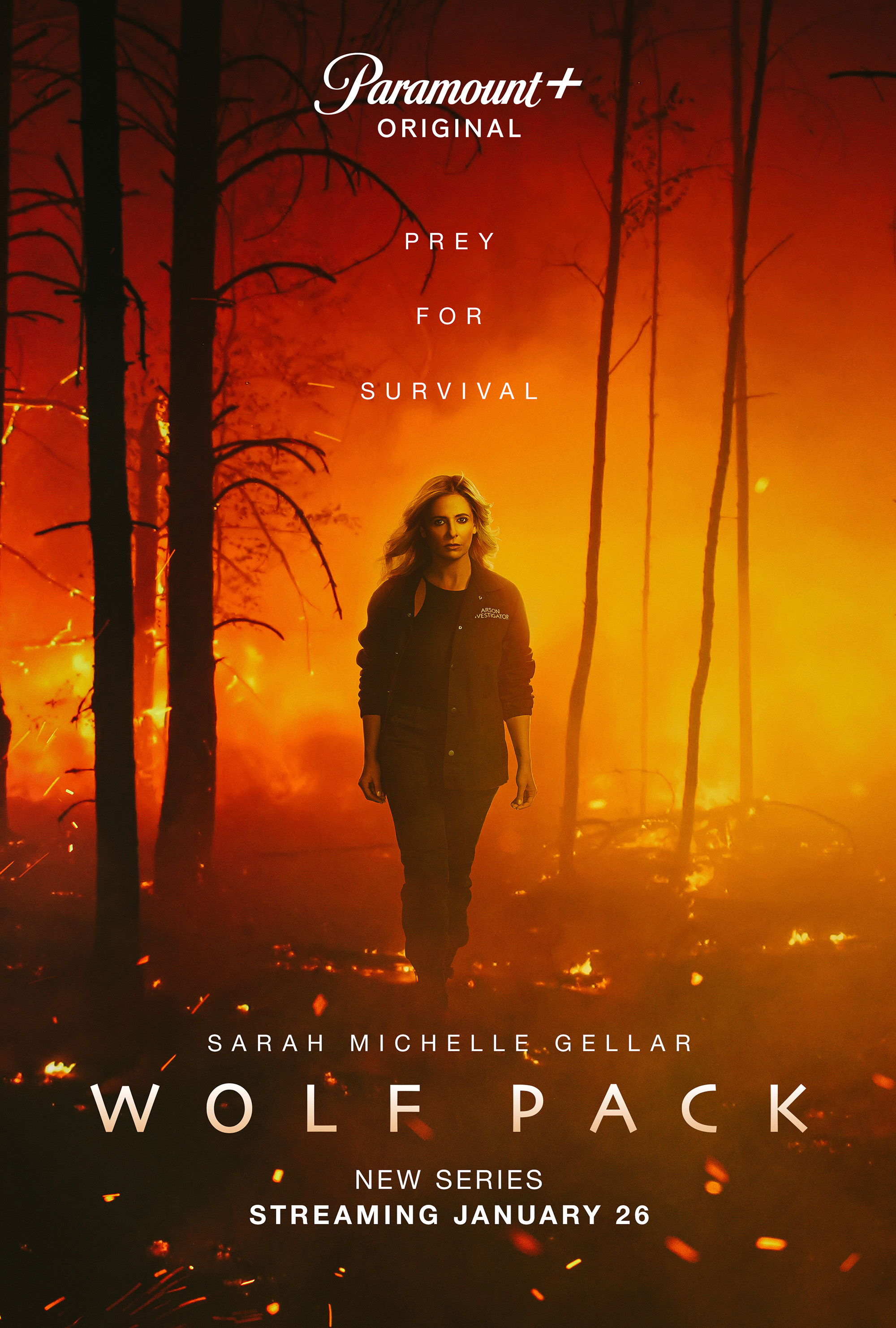 Wolf Pack (2023) Movie Database FlickDirect